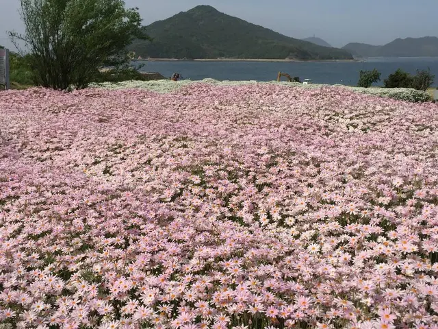 フラワーパーク浦島