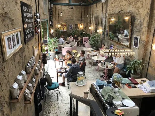 Lazy Cats Cafe