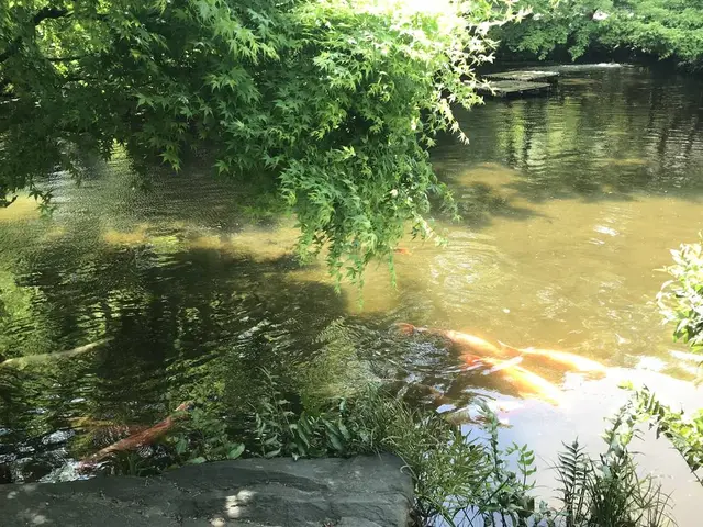 ホテルニューオータニ 日本庭園