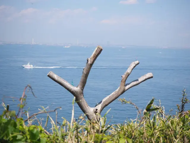 猿島