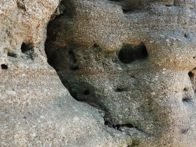 猿島