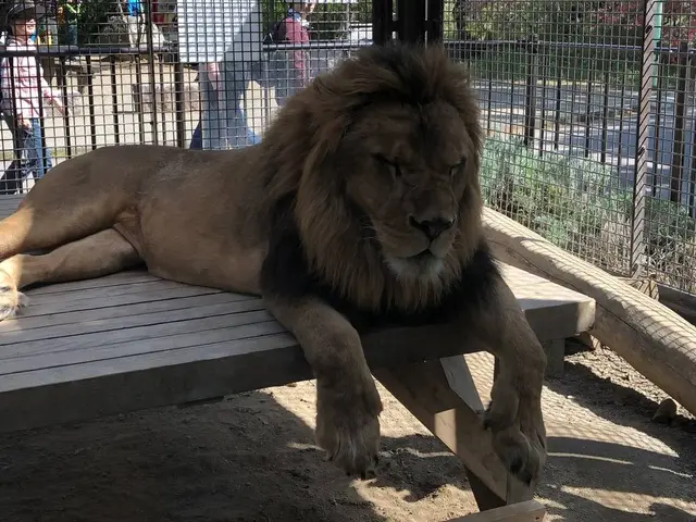 桐生が岡動物園