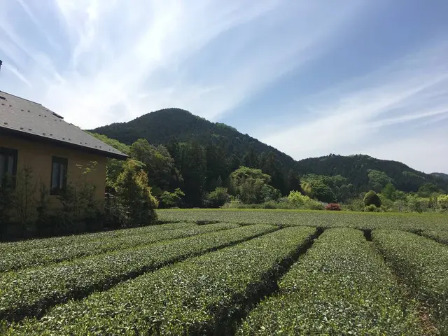 ワイズガーデン