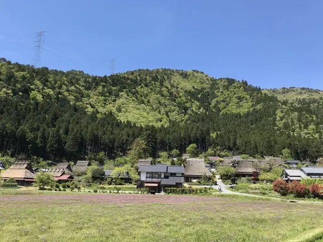 もりしげ