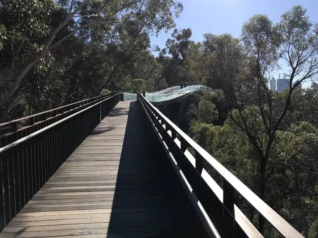 Kings Park and Botanic Garden（キングスパーク＆植物園）