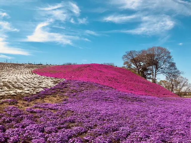 東京ドイツ村