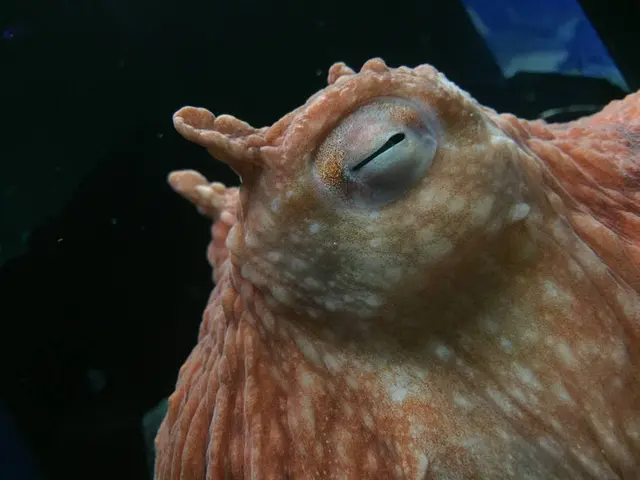 サンシャイン水族館