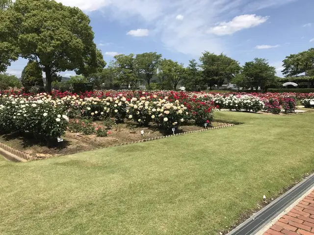 RSKバラ園