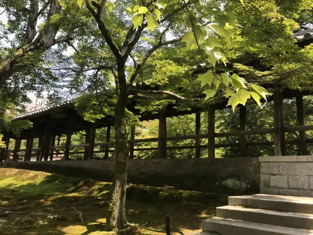 東福寺