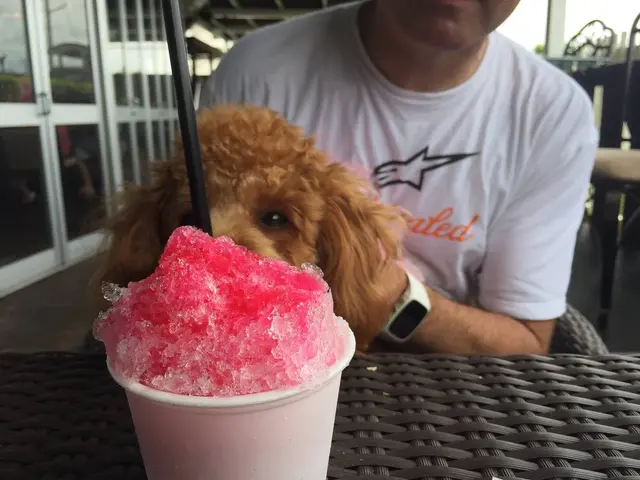 グラパチーナ