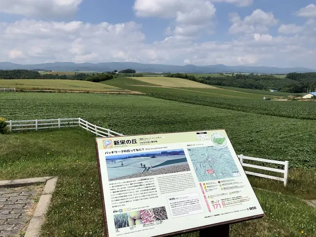新栄の丘 展望公園
