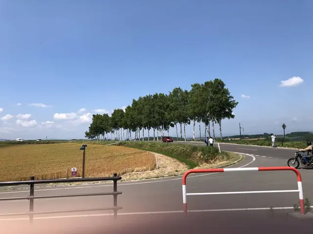セブンスターの木