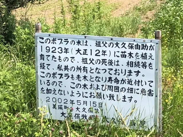 ケンとメリーの木