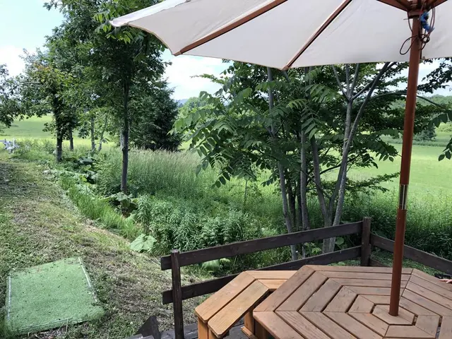 あるうのぱいん