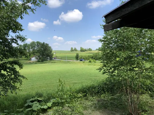 あるうのぱいん