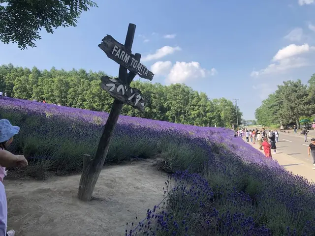 ファーム富田
