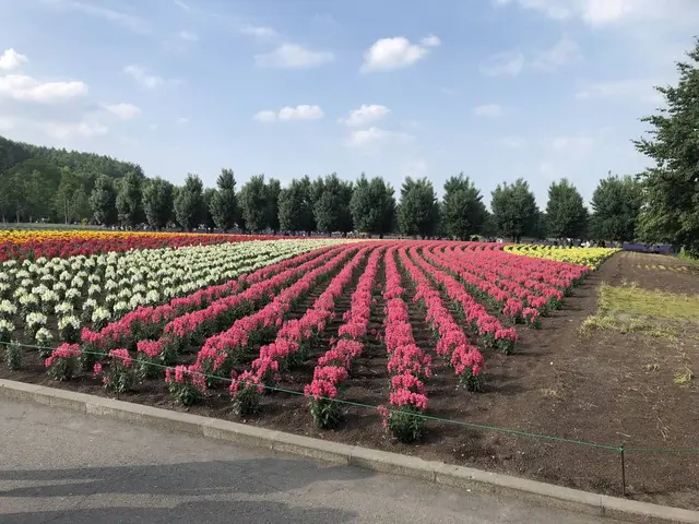 ファーム富田