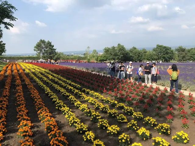 ファーム富田