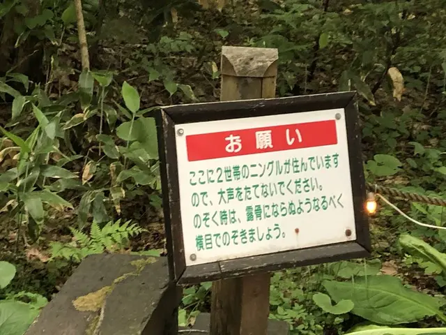 ニングルテラス