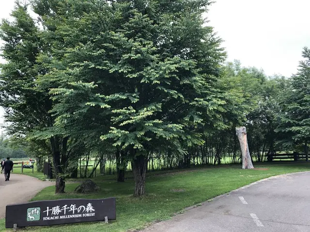 十勝千年の森