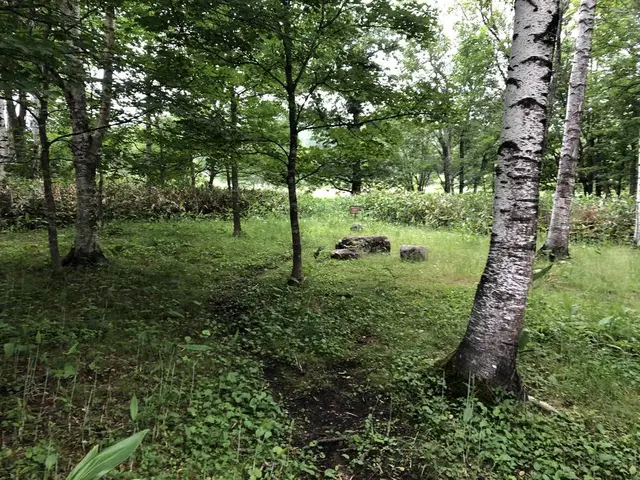 十勝千年の森
