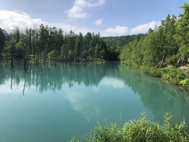 白金青い池