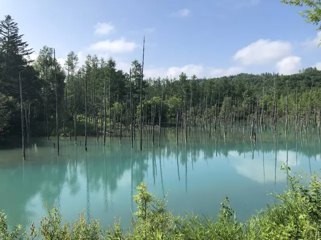 白金青い池