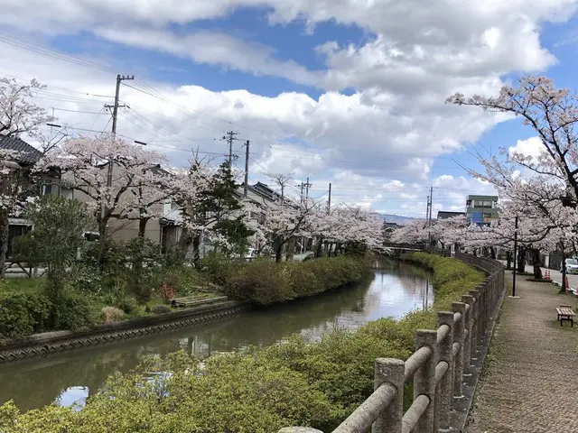 氷見市