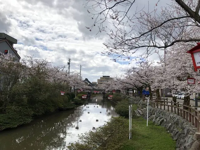 氷見市