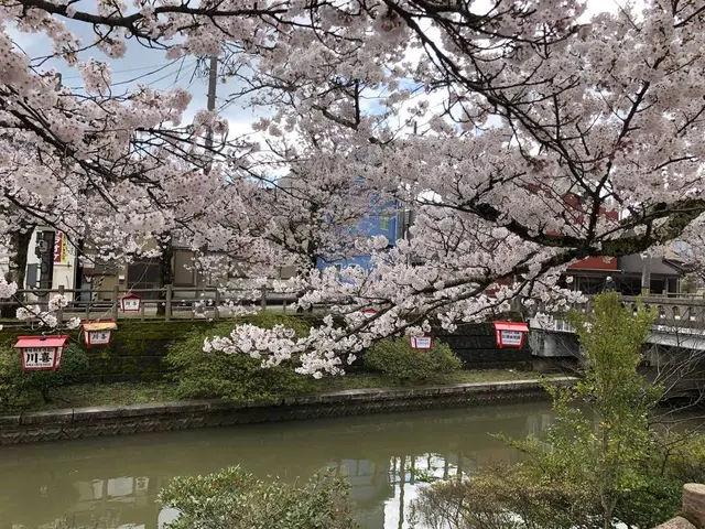 氷見市