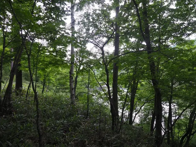 八千穂高原自然園