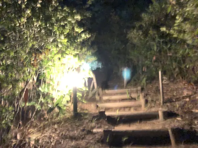 富貴温泉　富貴の森