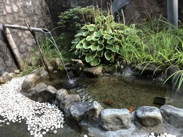 富貴温泉　富貴の森