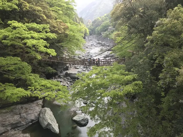 祖谷のかずら橋
