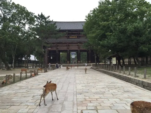 華厳宗東大寺　南大門