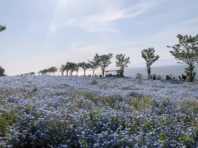 PALM GARDEN MAISHIMA by WBF（パームガーデン舞洲）