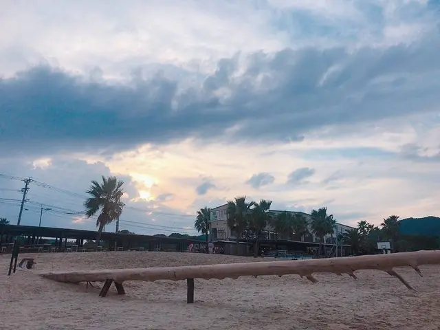 ヤシの木ブランコ