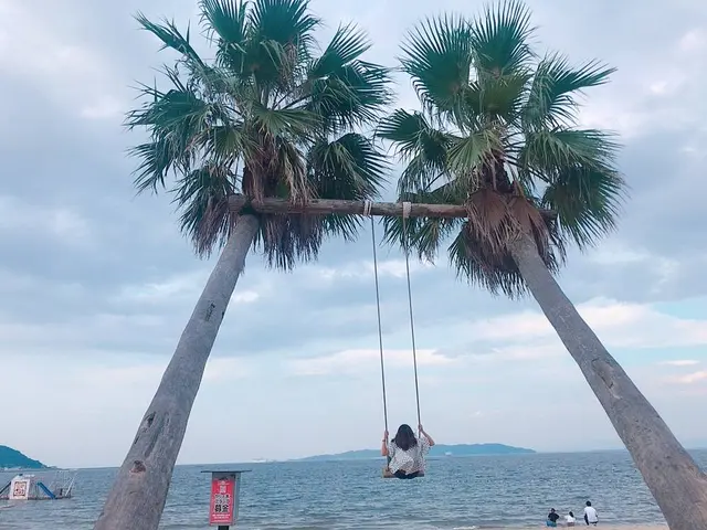 ヤシの木ブランコ