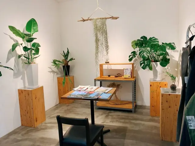 花のがっこう