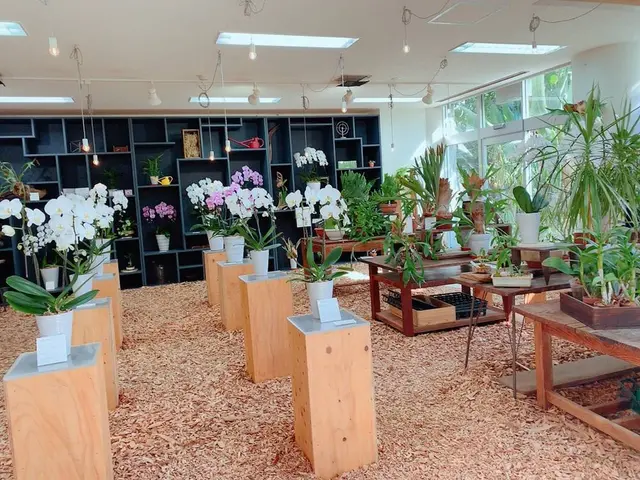 花のがっこう