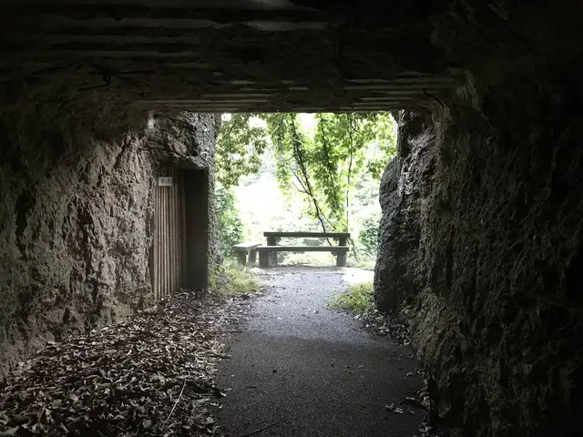 豊砲台跡