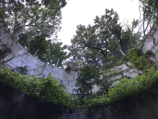 豊砲台跡
