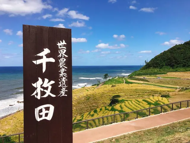 白米千枚田