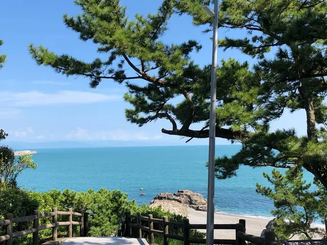 桂浜