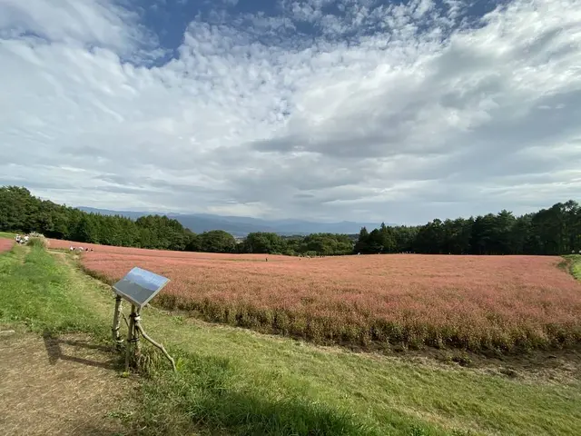 赤そばの里
