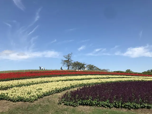 馬見丘陵公園