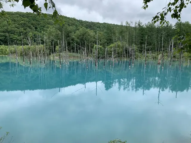 白金青い池