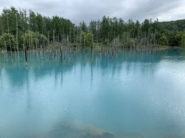 白金青い池