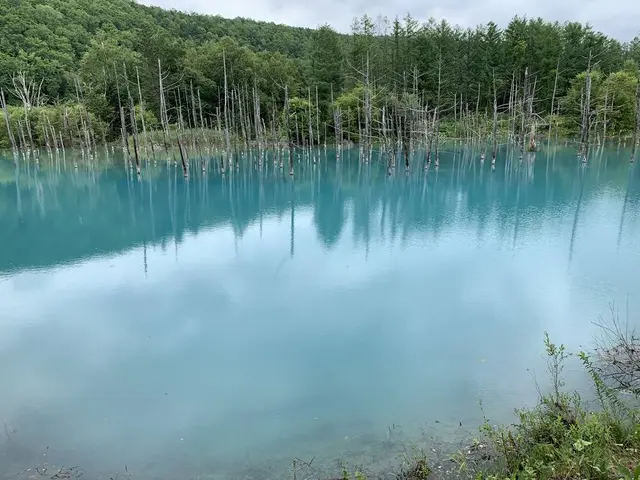 白金青い池