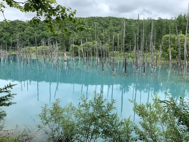 白金青い池